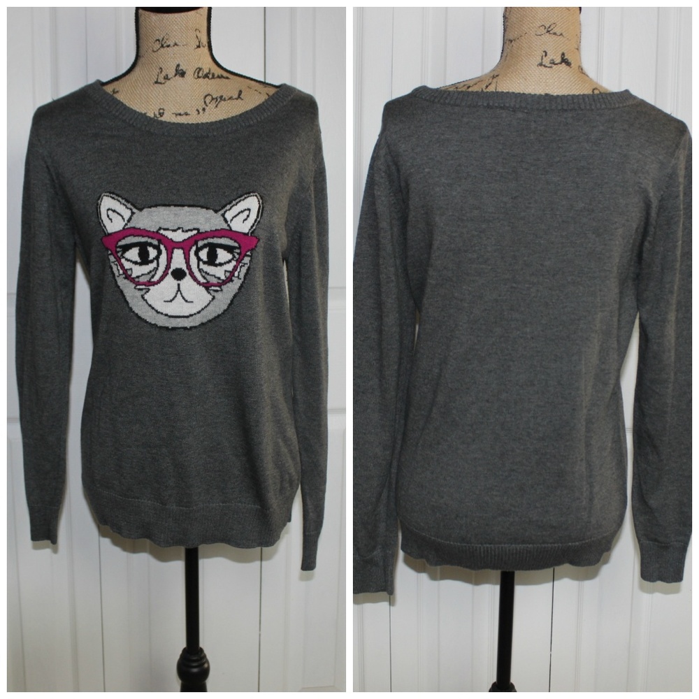 New Directions Cat in glasses  sweater